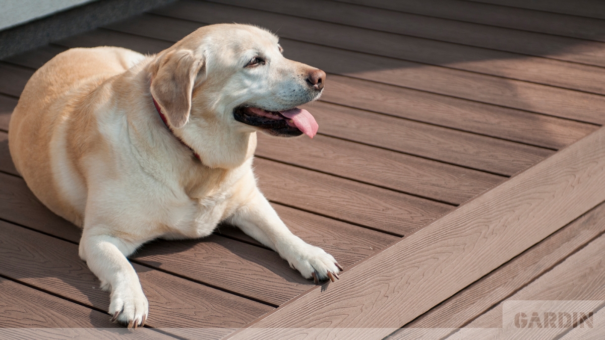 Натуральна та сучасна композитна терасна дошка