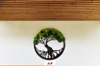 Зимовий сад Gardin Natur, парк Вітоша, Болгарія