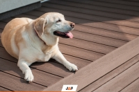 Переваги HDPE терас