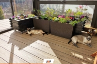 Зимовий сад Gardin Natur, парк Вітоша, Болгарія