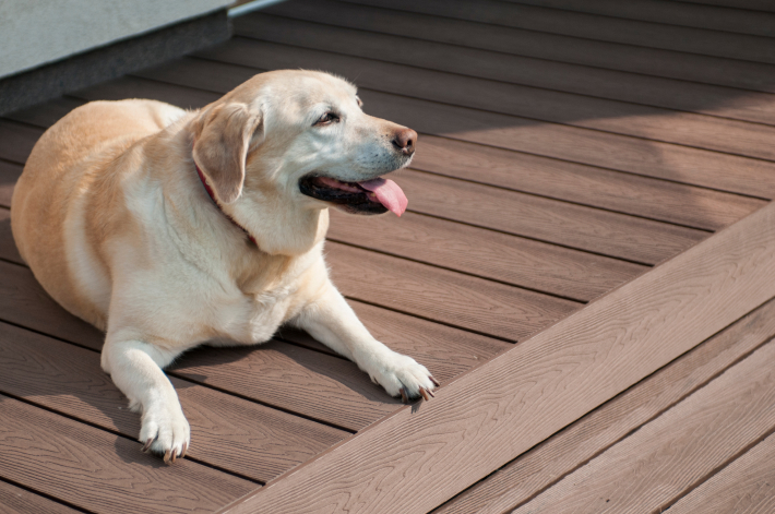 Візуалізація тераси з використанням терасної дошки Gardin Natur